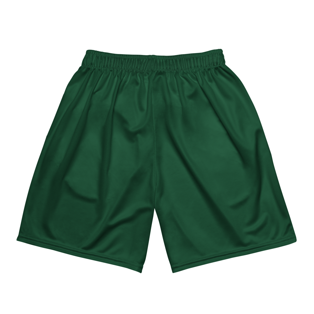 Men's Dark Green Mesh Gym Shorts