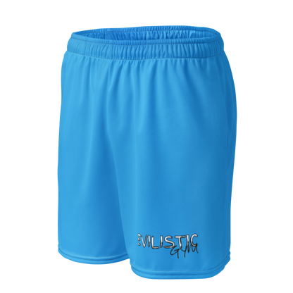 Men's Sea Blue Mesh Gym Shorts