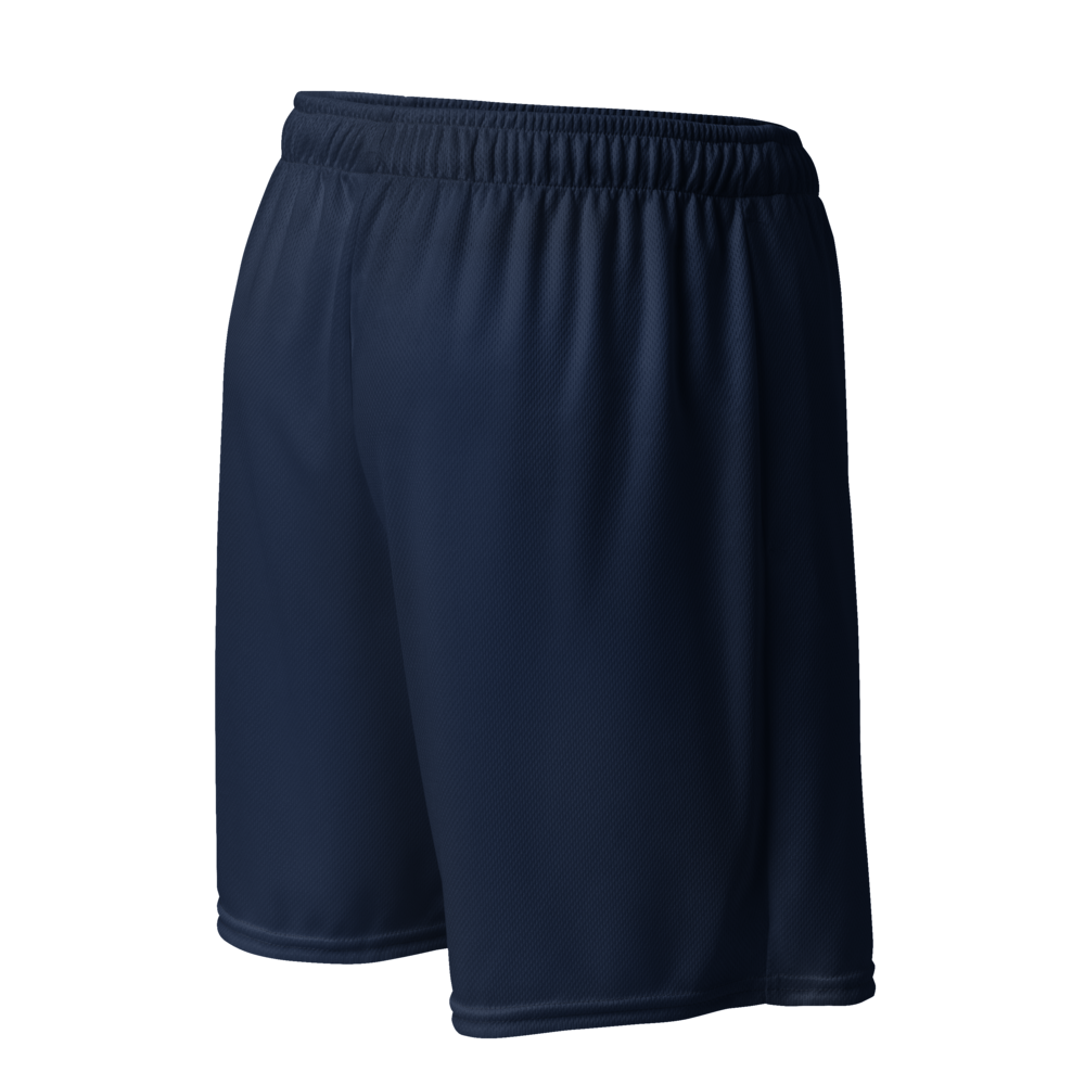 Men's Navy Graphic Running Shorts