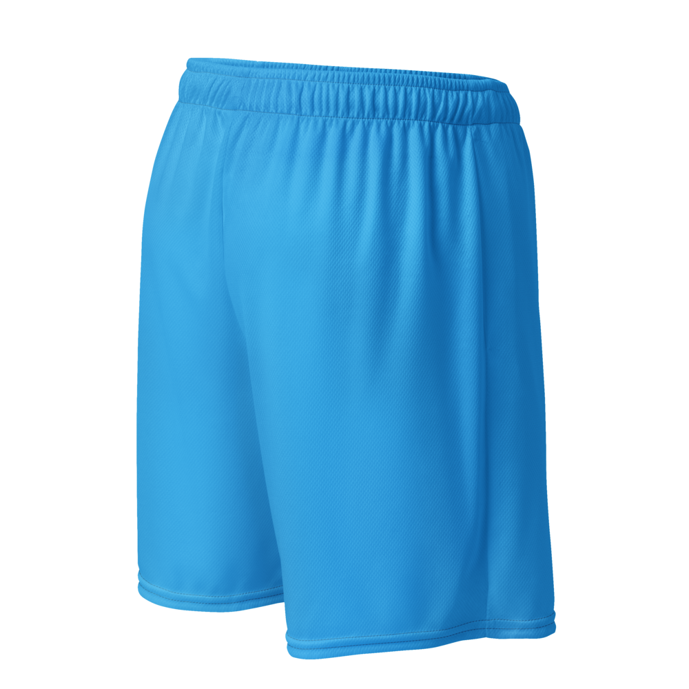 Men's Sea Blue Mesh Gym Shorts