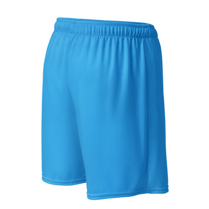 Men's Sea Blue Mesh Gym Shorts